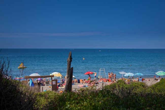 Spiaggia affollata con ombrelloni colorati e mare calmo; vegetazione in primo piano.