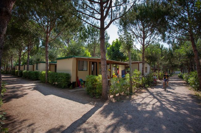 Casette tra alberi, con persone che passeggiano.