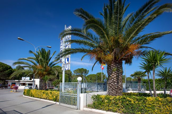 Ingresso con palme e cartello blu.