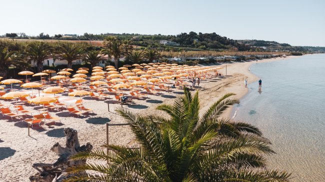 Spiaggia con ombrelloni gialli, palme e mare calmo.