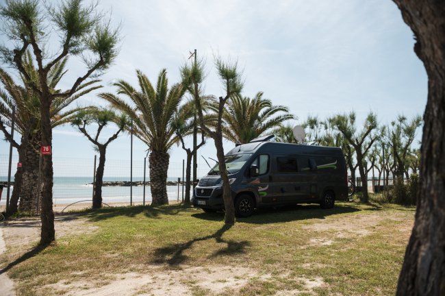 Camper parcheggiato tra palme vicino alla spiaggia.