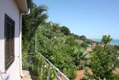Balcone con vista panoramica tra palme e colline verdi.