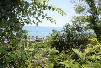 Vista del mare attraverso alberi lussureggianti.
