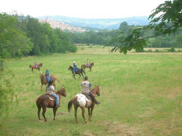 Persone che cavalcano cavalli in un campo verde con alberi e colline sullo sfondo.