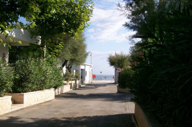 Viale alberato verso il mare nella luce del giorno.