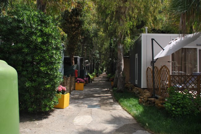 Sentiero tra bungalow con fiori colorati e vegetazione.