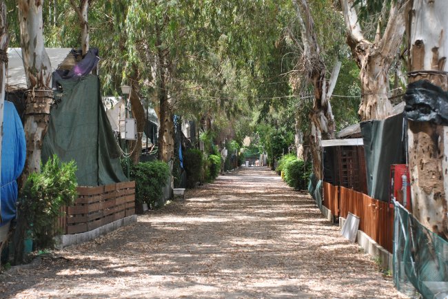 Viale con alberi e tende ai lati.