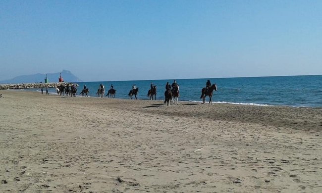 Persone a cavallo su una spiaggia.