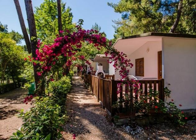 Casette bianche con archi di fiori.