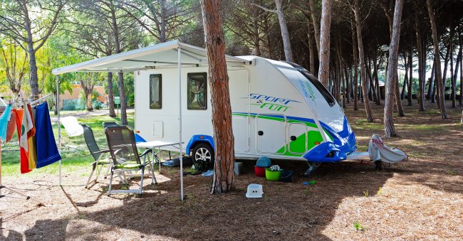 Roulotte parcheggiata tra gli alberi.