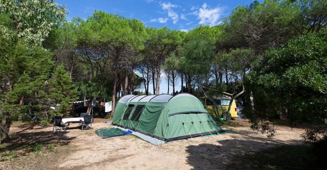 Grande tenda verde in un campeggio con alberi.