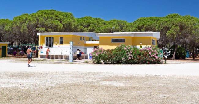Edificio giallo con persone all'esterno, circondato da alberi e cespugli fioriti.