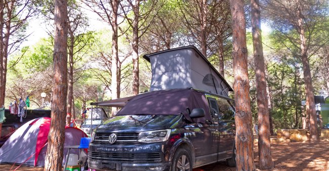 Camper nero con tetto rialzato in un'area alberata.