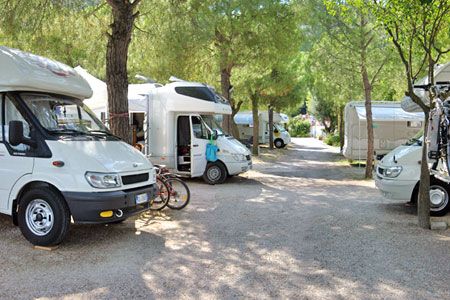 Camper parcheggiati in un'area ombreggiata da alberi, con biciclette appoggiate su uno di essi.