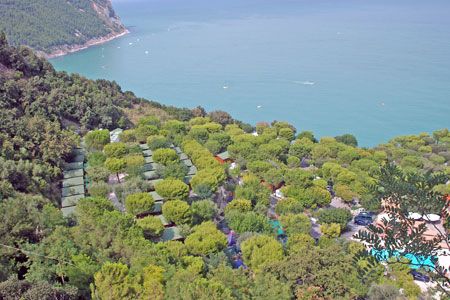 Veduta aerea di una foresta di pini vicino alla costa, con il mare visibile sullo sfondo.