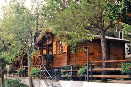 Una casa di legno circondata da alberi e fiori.