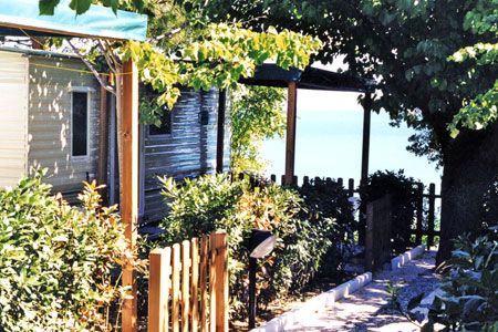 Sentiero ombreggiato tra vegetazione, conduce a una vista sul mare.