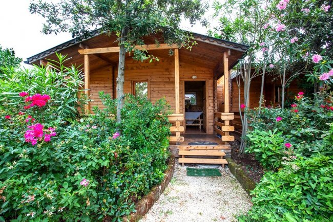 Casetta in legno circondata da fiori colorati.