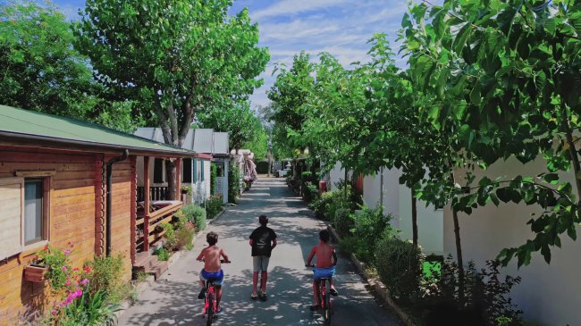 Tre bambini in bicicletta su una strada alberata.