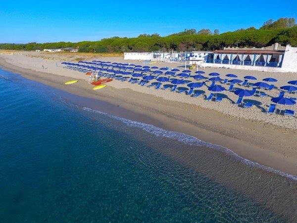 Una spiaggia con sedie a sdraio e ombrelloni blu, vicino al mare con palme sullo sfondo.