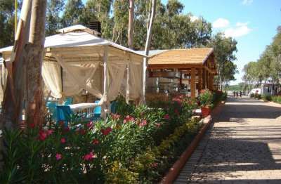 Una tenda con tavoli e sedie blu accanto a un sentiero fiorito.