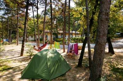 Una tenda verde in un bosco, con persone su amache e vestiti appesi.