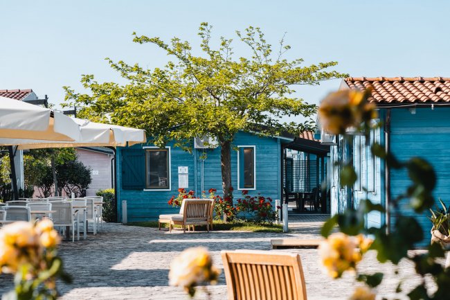 Cortile con casette blu e fiori rossi.