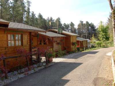 Bungalow in legno circondati da alberi con una strada asfaltata davanti.
