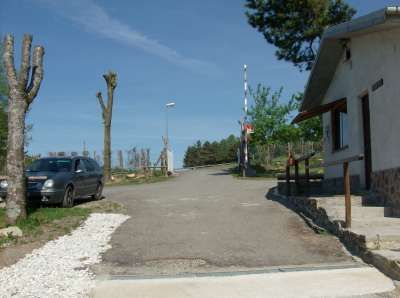 Una strada asfaltata con un'auto parcheggiata e alberi potati ai lati.