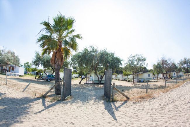 Ingresso sabbioso con palme e bungalow.