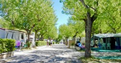 International Riccione Camping Village - Riccione Emilia Romagna