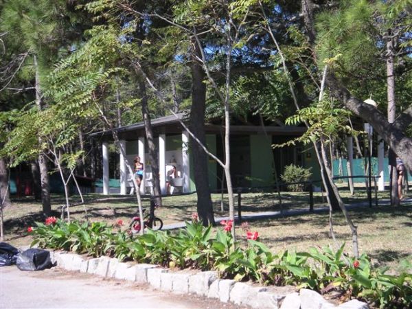 Un parco con alberi e aiuola fiorita.