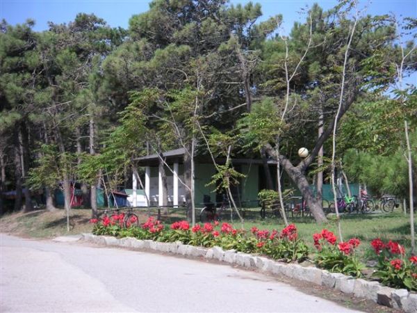 Un piccolo edificio bianco circondato da alberi e fiori rossi lungo un vialetto.
