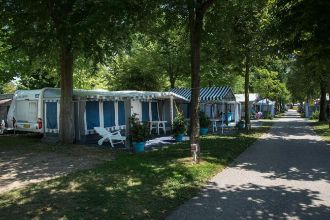 Roulotte e tende in un campeggio alberato.