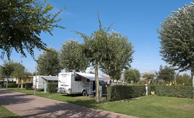 Camper parcheggiato su erba tra alberi.