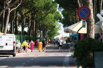 Via alberata con persone, negozi e un furgone bianco parcheggiato.