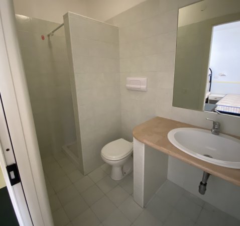 Un bagno con doccia, WC, lavabo e grande specchio.
