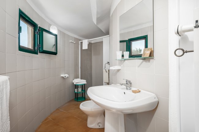 Un bagno con lavabo, specchio, doccia e finestre verdi.