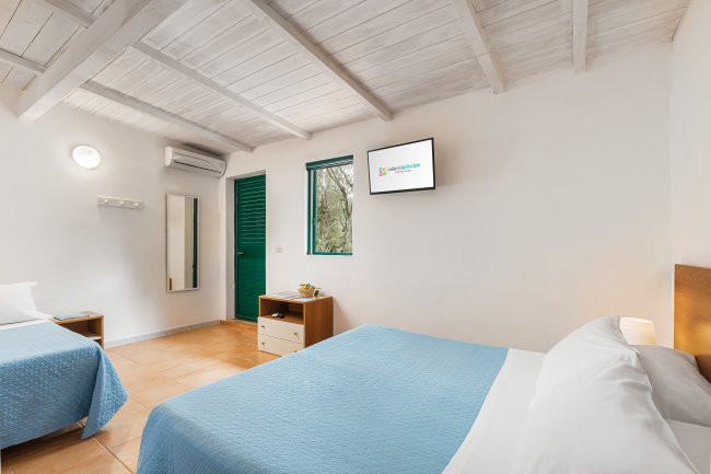 Camera doppia con letti blu e TV.