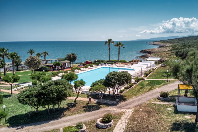 Piscina vicino al mare con palme.